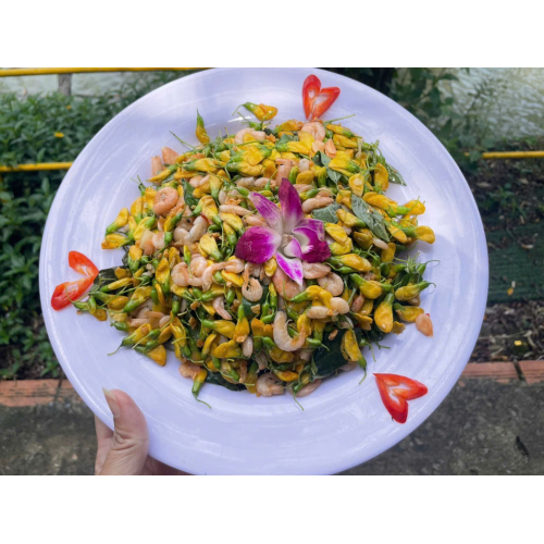 Một Ngày Trải Nghiệm Tại Khu Sinh Thái Phú Điền