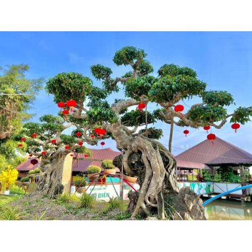 Không gian rộng rãi