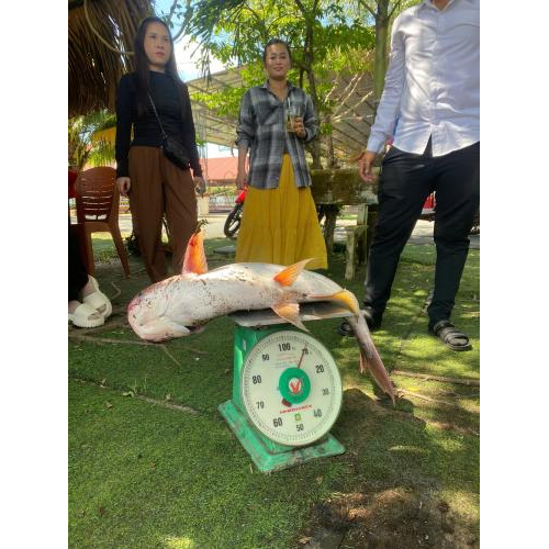 Câu Cá Giữa Thiên Nhiên Phú Điền