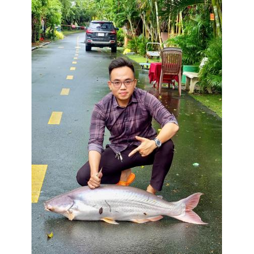 Câu cá – Chữa lành tâm hồn