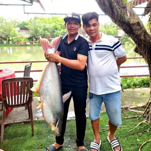 Thư Giãn Giữa Thiên Nhiên Với Dịch Vụ Câu Cá Tại Khu Du Lịch Phú Điền