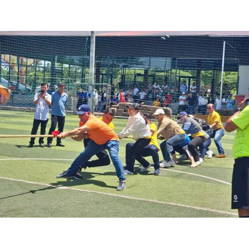 Trò chơi trên cạn