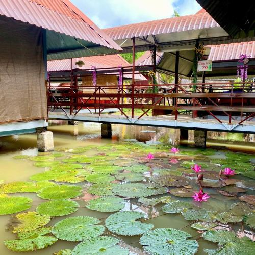 Những Lợi Ích Du Lịch Sinh Thái Mang Lại