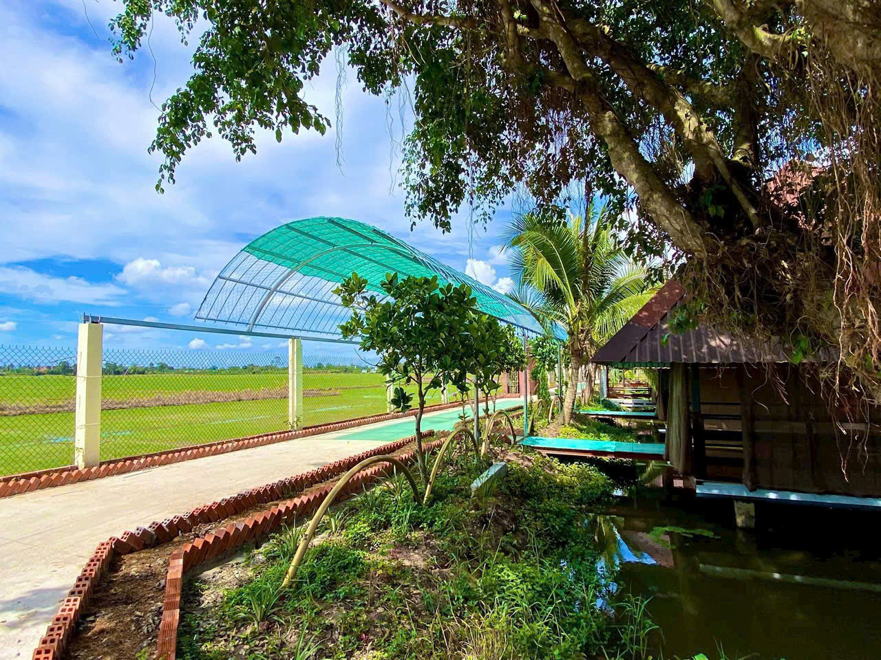 Giảm áp lực tinh thần nhờ không gian tự nhiên