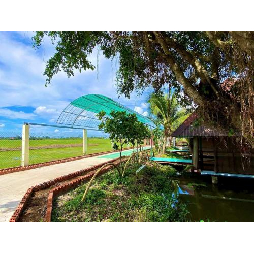 Thiên nhiên xanh mát không gian thư giãn tuyệt vời