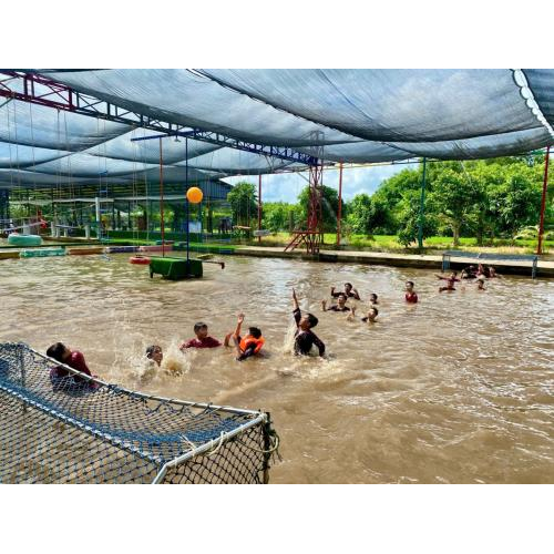 Hỗ trợ cân bằng cảm xúc và nhịp sinh hoạt