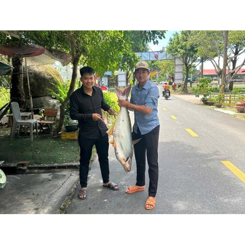 Hoạt động linh hoạt đến lúc nào cũng có thể tham gia